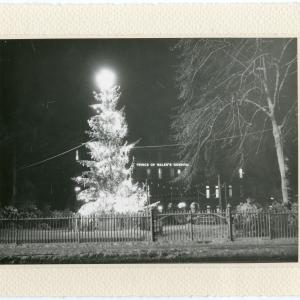 Black and white picture of large christmas tree outdoors