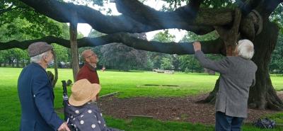 4 people looking at an ancient oak tree