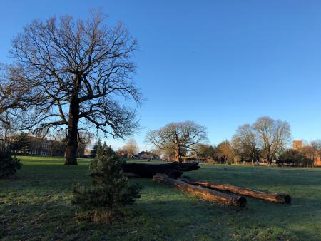 View of Bruce Castle park.