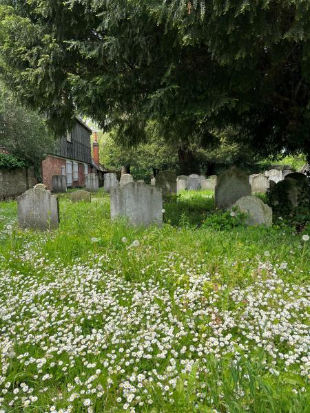 graveyard 2023