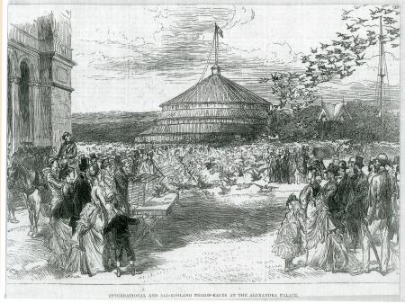 pigeon races at Alexandra Palace