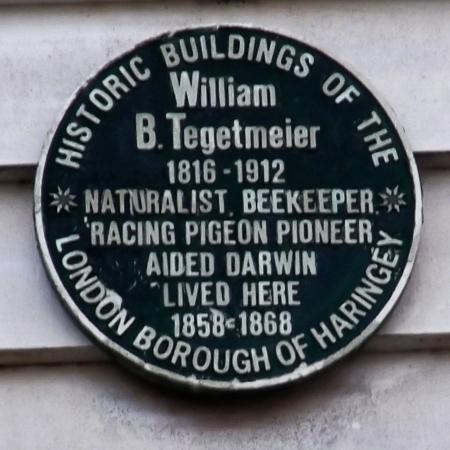 plaque for william b tegetmeier