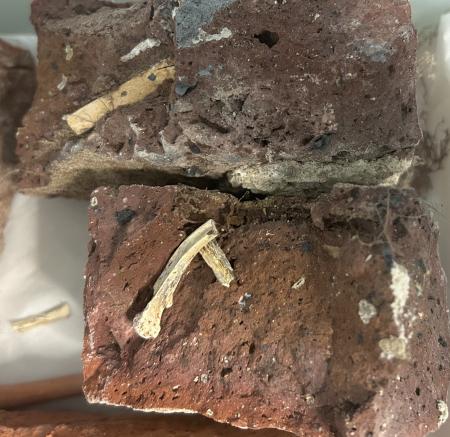 bone embedded in clay brick from 17th century