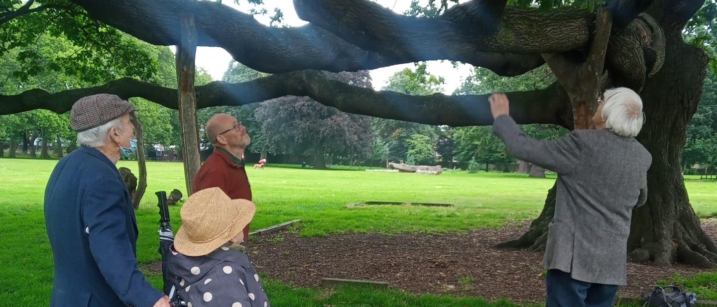 4 people looking at an ancient oak tree