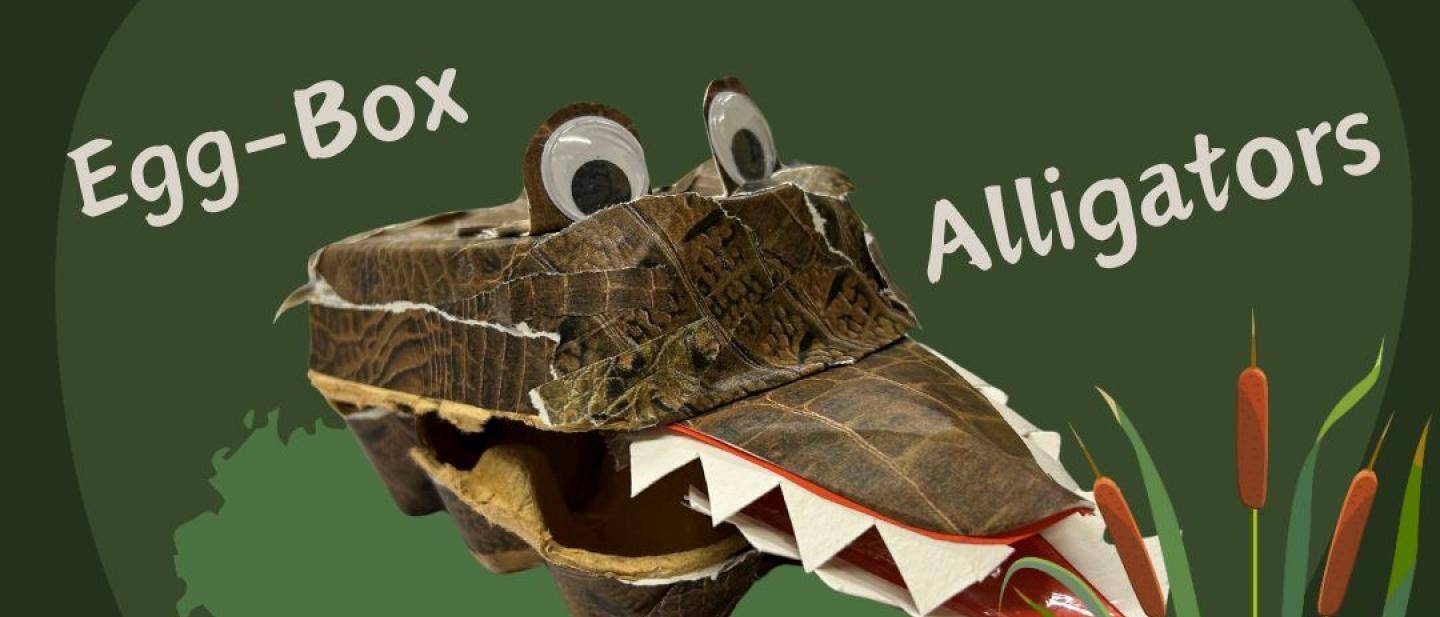 alligator craft made out of egg boxes
