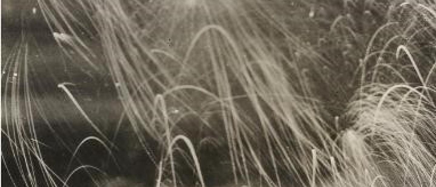 Fireworks display 