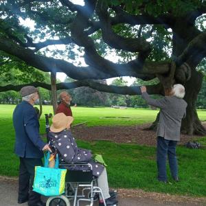 4 people looking at an ancient oak tree
