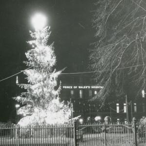 Black and white picture of large christmas tree outdoors
